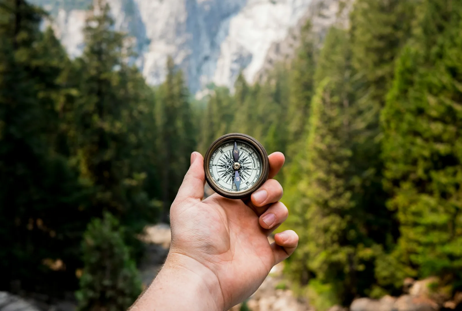 Une personne tient une boussole face à une forêt de pins, symbole de l’orientation face au changement